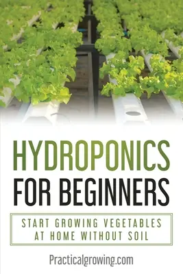 Hidroponie pentru începători: Începeți să cultivați legume la domiciliu fără sol - Hydroponics for Beginners: Start Growing Vegetables at Home Without Soil