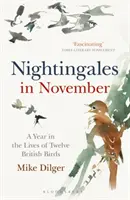 Privighetori în noiembrie - Un an din viața a douăsprezece păsări britanice - Nightingales in November - A Year in the Lives of Twelve British Birds