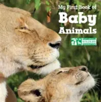 Prima mea carte de animale pentru bebeluși - My First Book of Baby Animals