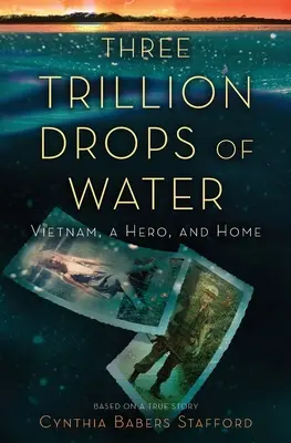 Trei trilioane de picături de apă: Vietnam, un erou și acasă - Three Trillion Drops of Water: Vietnam, a Hero, and Home