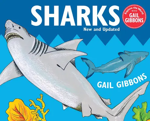 Rechini - Sharks