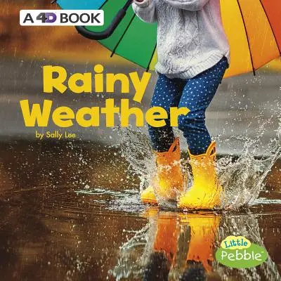 Vremea ploioasă: O carte 4D - Rainy Weather: A 4D Book