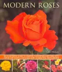 Trandafiri moderni: Un ghid ilustrat pentru soiuri, cultivare și îngrijire, cu instrucțiuni pas cu pas și peste 150 de fotografii frumoase - Modern Roses: An Illustrated Guide to Varieties, Cultivation and Care, with Step-By-Step Instructions and Over 150 Beautiful Photogr