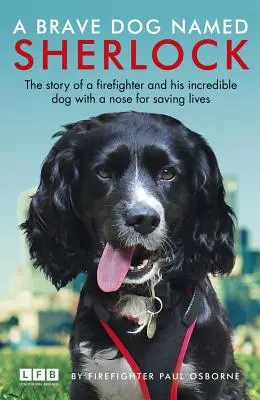 Un câine curajos pe nume Sherlock - A Brave Dog Named Sherlock