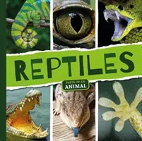 Reptile - Reptiles