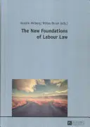 Noile fundamente ale dreptului muncii - The New Foundations of Labour Law