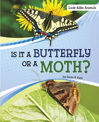 Este un fluture sau o molie? - Is It a Butterfly or a Moth?