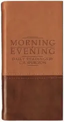 Dimineața și seara - Matt Tan/Burgundy - Morning and Evening - Matt Tan/Burgundy