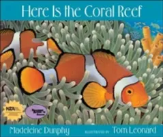 Aici este reciful de corali - Here Is the Coral Reef