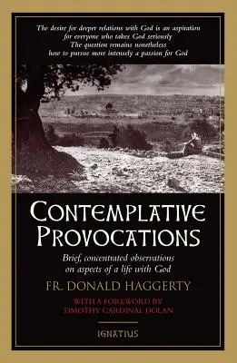 Provocări Contemplative - Contemplative Provocations