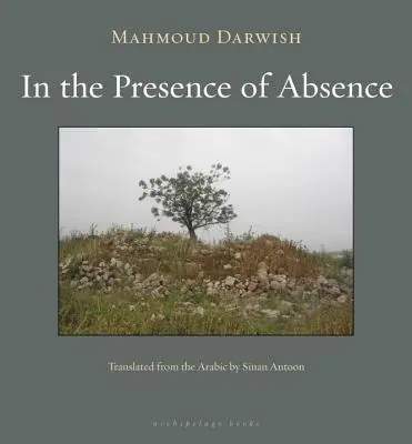 În prezența absenței - In the Presence of Absence
