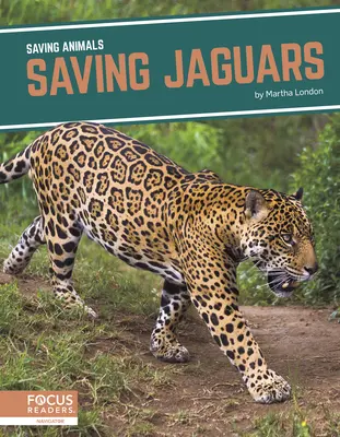 Salvarea jaguarilor - Saving Jaguars
