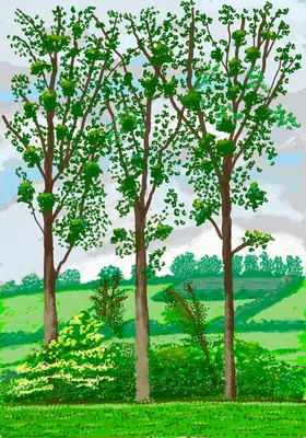David Hockney: Sosirea primăverii în Normandia, 2020 - David Hockney: The Arrival of Spring in Normandy, 2020