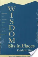 Wisdom Sits in Places: Peisaj și limbă printre apașii din vest - Wisdom Sits in Places: Landscape and Language Among the Western Apache