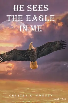 El vede vulturul din mine - He Sees the Eagle in Me