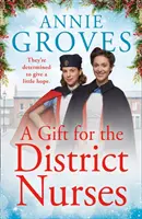 Un cadou pentru asistentele de cartier (Infirmierele de cartier, Cartea 4) - A Gift for the District Nurses (the District Nurses, Book 4)