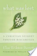 Ce a fost pierdut: O călătorie creștină prin avort spontan - What Was Lost: A Christian Journey Through Miscarriage