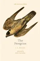 Peregrine: Ediția aniversară de 50 de ani - Postfață de Robert Macfarlane - Peregrine: 50th Anniversary Edition - Afterword by Robert Macfarlane