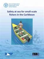 Siguranța pe mare pentru pescarii la scară mică din Caraibe - Safety at sea for small-scale fishers in the Caribbean