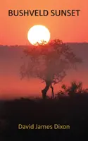 Apus de soare în Bushveld - Bushveld Sunset