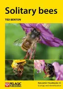 Albine solitare - Solitary bees