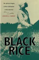 Orezul negru: Originile africane ale cultivării orezului în America - Black Rice: The African Origins of Rice Cultivation in the Americas
