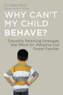 De ce nu se poate comporta copilul meu? Empathic Parenting Strategies That Work for Adoptive and Foster Families (Strategii parentale empatice care funcționează pentru familiile adoptive și de plasament) - Why Can't My Child Behave?: Empathic Parenting Strategies That Work for Adoptive and Foster Families