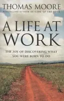 Viața la locul de muncă - Bucuria de a descoperi ceea ce ai fost născut să faci - Life At Work - The joy of discovering what you were born to do
