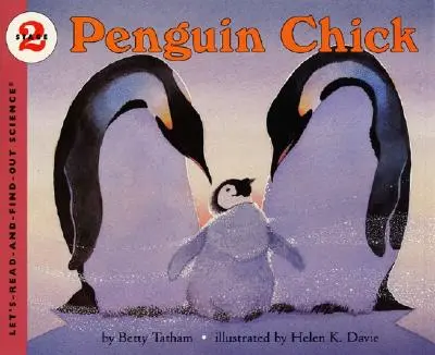 Puicuța pinguin - Penguin Chick