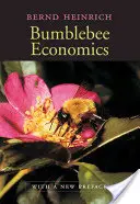 Bumblebee Economics: Cu o nouă prefață - Bumblebee Economics: With a New Preface