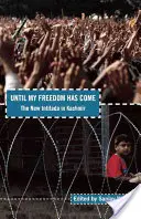 Until My Freedom Has Come: Noua Intifada din Kashmir - Until My Freedom Has Come: The New Intifada in Kashmir