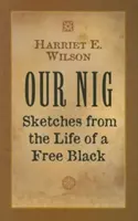 Nig al nostru: Sketches from the Life of a Free Black (Schițe din viața unui negru liber) - Our Nig: Sketches from the Life of a Free Black