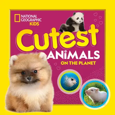 Cele mai drăguțe animale de pe planetă - Cutest Animals on the Planet