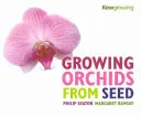 Cultivarea orhideelor din semințe - Growing Orchids from Seed