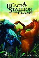 The Black Stallion și Flame - The Black Stallion and Flame