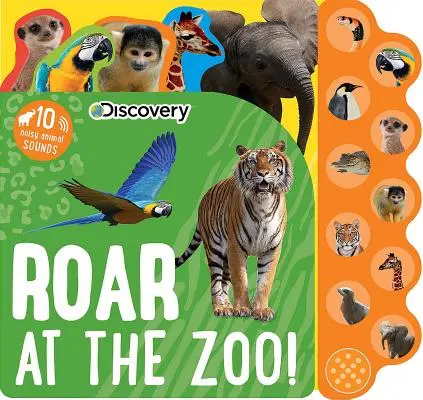 Descoperire: Răgete la grădina zoologică! - Discovery: Roar at the Zoo!