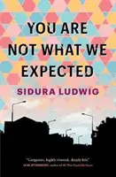 Tu nu ești ceea ce ne așteptam - You Are Not What We Expected