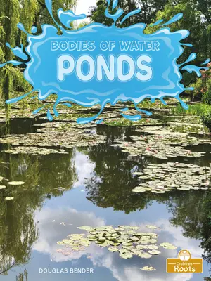 Iazuri - Ponds