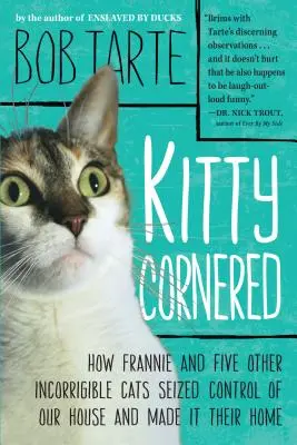 Kitty Cornered: Cum Frannie și alte cinci pisici incorigibile au preluat controlul asupra casei noastre și au făcut-o căminul lor - Kitty Cornered: How Frannie and Five Other Incorrigible Cats Seized Control of Our House and Made It Their Home
