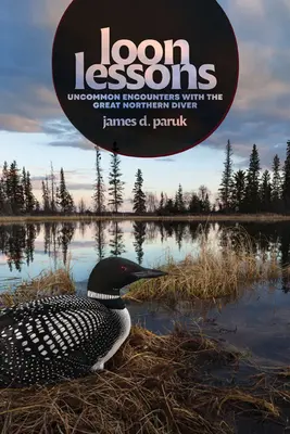 Lecții de loon: Întâlniri ieșite din comun cu marele scafandru nordic - Loon Lessons: Uncommon Encounters with the Great Northern Diver