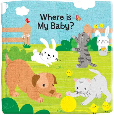 Unde este copilul meu? - Where Is My Baby?