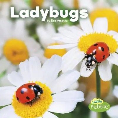 Buburuzele - Ladybugs