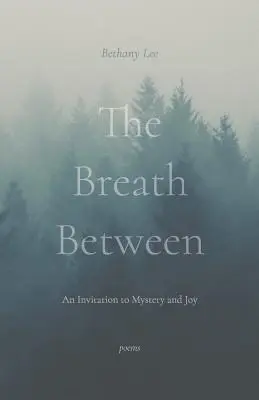 The Breath Between: O invitație la mister și bucurie - The Breath Between: An Invitation to Mystery and Joy