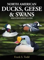Rațe, gâște și lebede nord-americane - Ghid de identificare - North American Ducks, Geese and Swans - Identification Guide