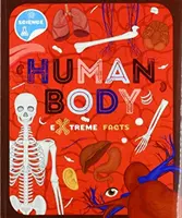 Corpul uman - Human Body