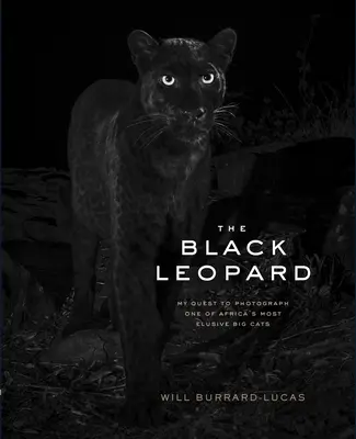 Leopardul negru: Căutarea mea de a fotografia una dintre cele mai evazive pisici mari din Africa - The Black Leopard: My Quest to Photograph One of Africa's Most Elusive Big Cats