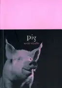 Porc - Pig