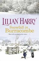 Zăpadă în Burracombe - Snowfall in Burracombe