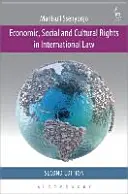 Drepturile economice, sociale și culturale în dreptul internațional - Economic, Social and Cultural Rights in International Law