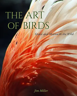 Arta păsărilor: Grație și mișcare în sălbăticie - The Art of Birds: Grace and Motion in the Wild